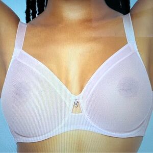 Curvy Couture Light Blushing Rose Sheer & Sexy Underwire Bra 38DDD NWT.